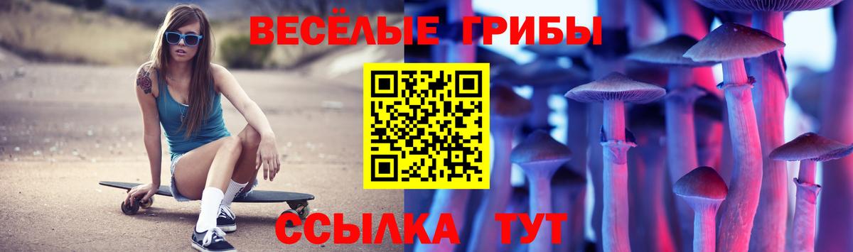 даркнет сайт  Вход с VPN  Шахты  Псилоцибиновые грибы мухоморы  Псилоцибиновые грибы прущие грибы 